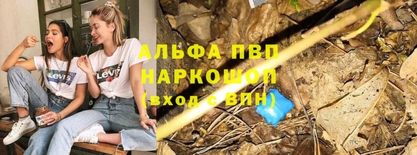ECSTASY Новокубанск